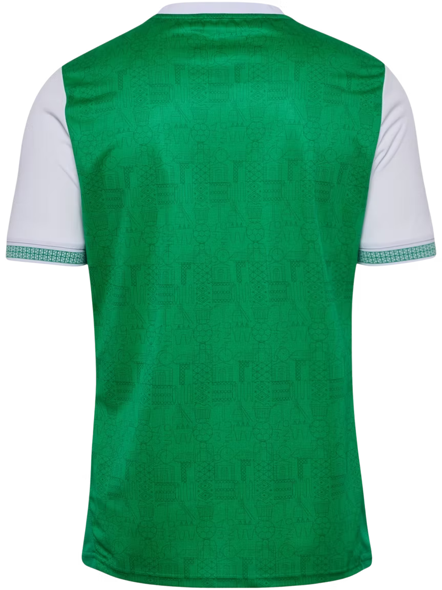 Saint-Etienne domicile 25/26